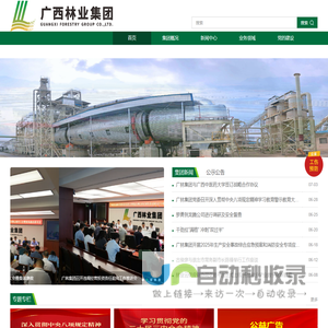 广西林业集团有限公司